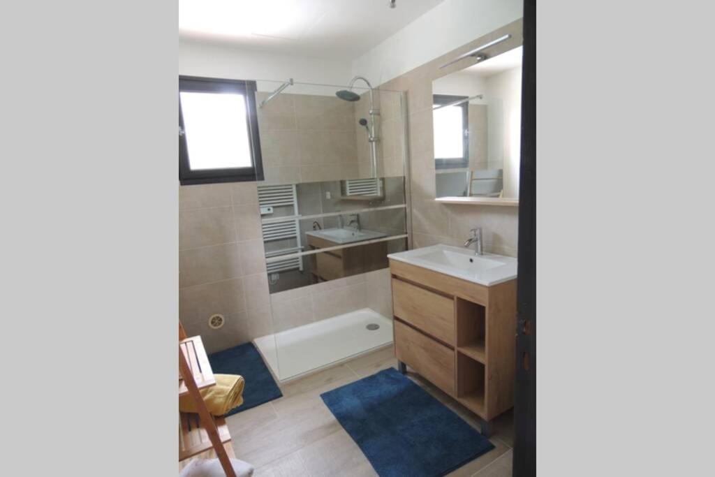 Les Chataigniers Appartement Meuble Saint-Sebastien  Екстер'єр фото