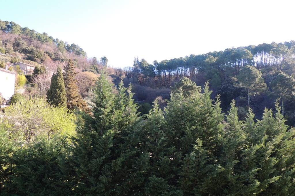 Les Chataigniers Appartement Meuble Saint-Sebastien  Екстер'єр фото